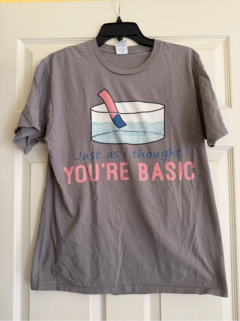 Gildan Gray Tee with Pink & Blue Graphic - "YOU'RE BASIC"